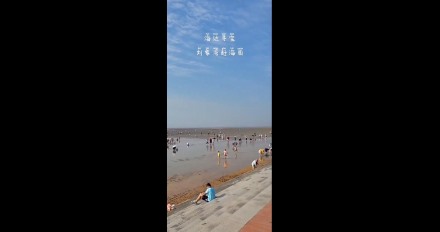 海邊尋寶，劉家灣趕海園—泰安金輝國旅
