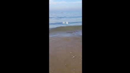 跟著金輝去聽(tīng)海
